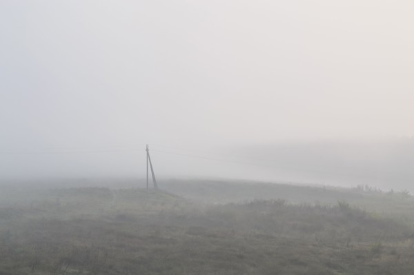Ukraine, Dnepropetrovsk region, Novomoskovsk district, Electricity pylon standing in foggy field