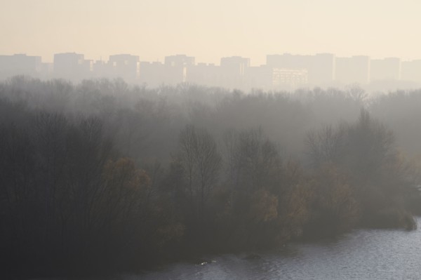 Ukraine, Dnepropetrovsk, Forest and remote city skyline at foggy dawn
