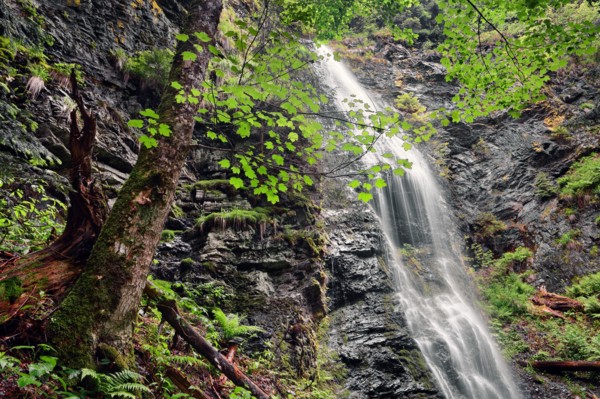 Ukraine, Zakarpattia, Rakhiv district, Carpathians, Scenic view of waterfall