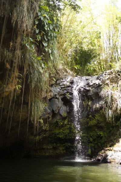 Caribbean Islands, Saint Lucia, Waterfall in forest
