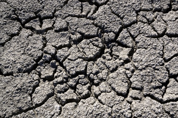 Close up of cracked dry ground