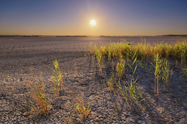 Ukraine, Dnepropetrovsk Region, Novomoskovskiy District, Lake Soleniy Lyman, Desert at sunset