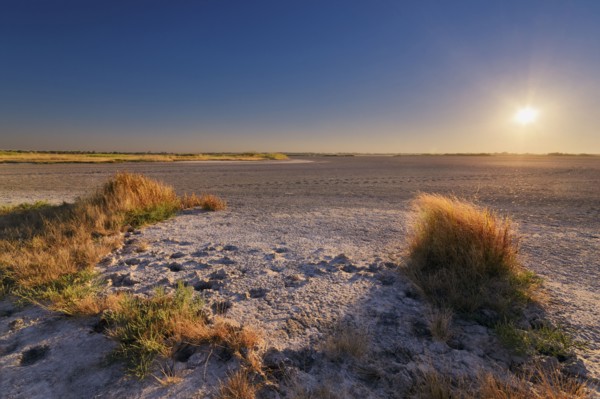 Ukraine, Dnepropetrovsk Region, Novomoskovskiy District, Lake Soleniy Lyman, Desert at sunset