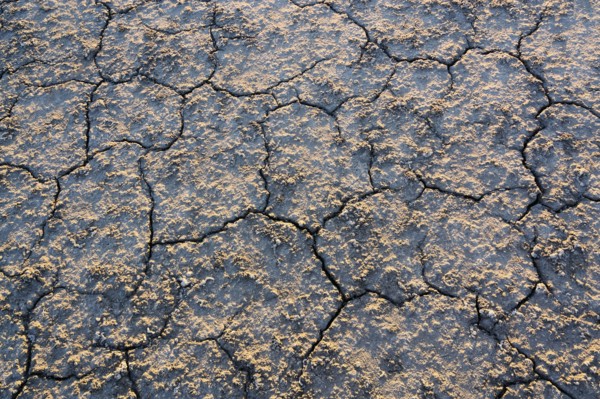 Overhead view of cracked desert