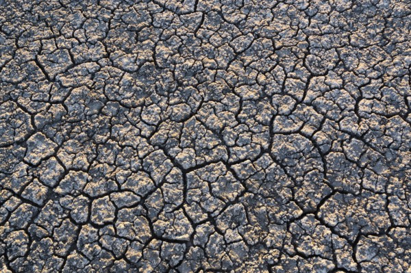 Overhead view of cracked desert