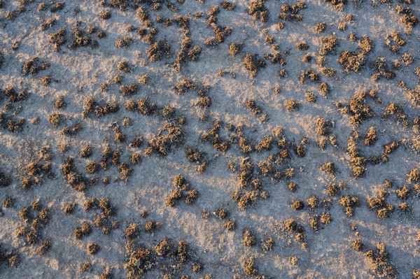 Aerial view of desert