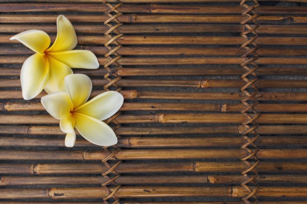 Yellow plumeria flowers on bamboo mat