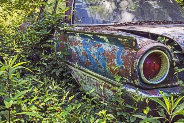 USA, Rural Georgia, Abandoned car overgrown with weeds