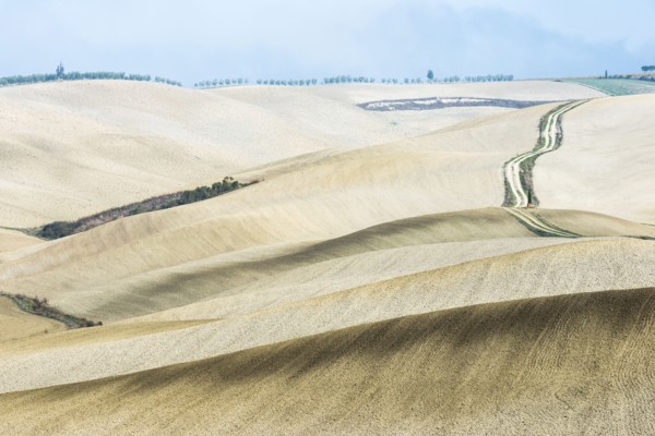 Italy, Tuscany, San Quirico D'orcia, Long twisting rural road leading through endless fields