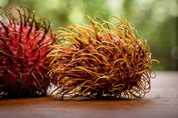 Lychee covered with spiked shell on table
