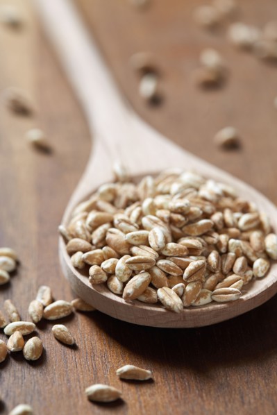 Spoon full of farro
