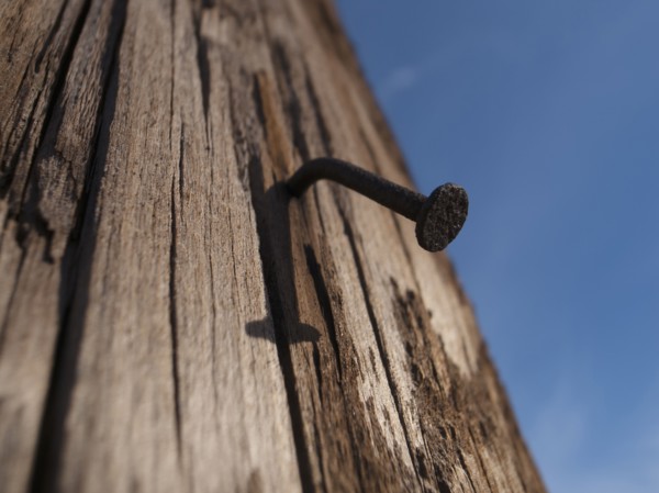 Bent nail in wood