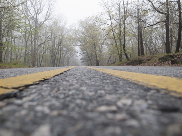 Empty road in forest