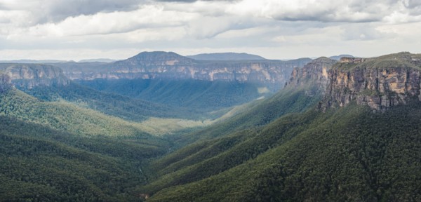 Canyon overgrown by forest