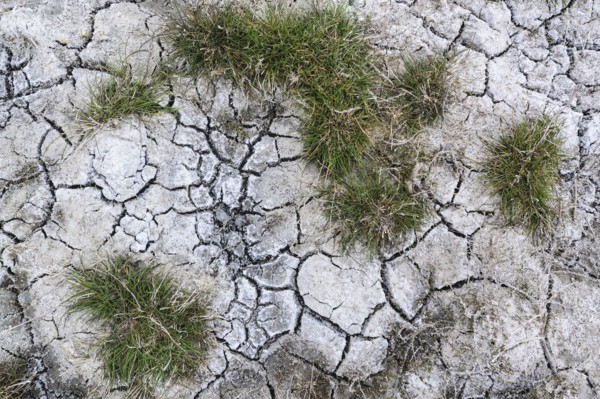Ukraine, Dnepropetrovsk Region, Novomoskovskiy District, Lake Soleniy Lyman, Cracked dirt with clumps of dress