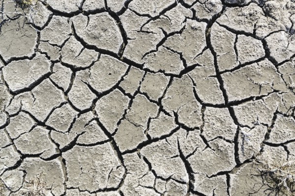 Ukraine, Dnepropetrovsk Region, Novomoskovskiy District, Lake Soleniy Lyman, Cracked dirt