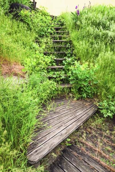 Ukraine, Dnepropetrovsk Region, Dnepropetrovsk District, Voloske, Wooden steps overgrown by grass