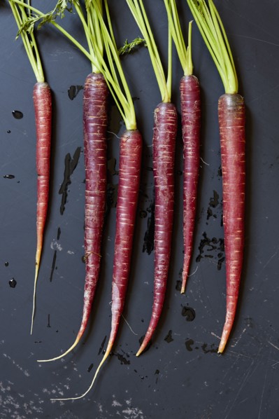 Directly above view of carrots