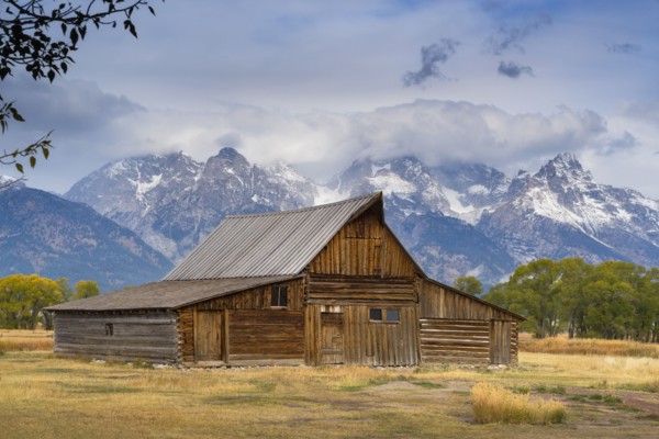 USA, Wyoming, Grand Teton National Park, Moulton Barn, Wooden barn in meadow