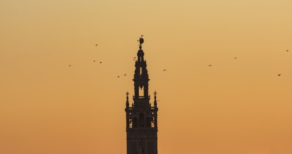 Spain, Andalusia, Seville, Bell tower of La Giralda against yellow sky with birds flying around
