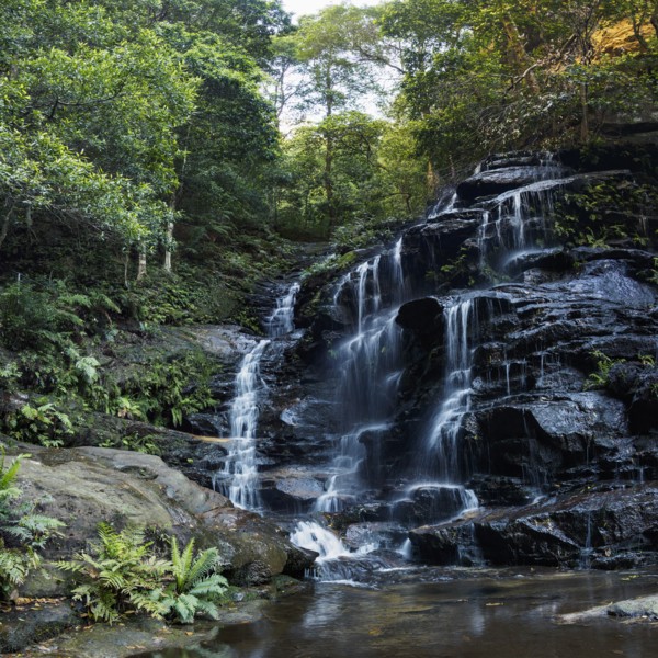Australia, New South Wales, Waterfall called Wentworth Falls