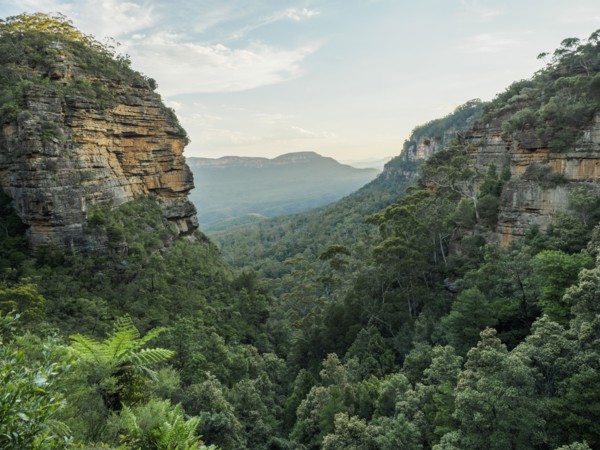 Australia, New South Wales, Landscape of Blue Mountains