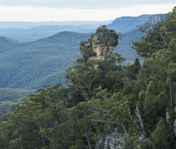 Rock in Blue Mountains National Park
