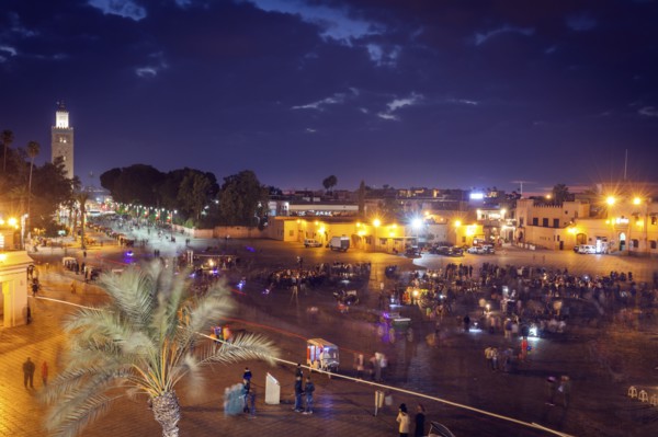 Koutoubia Mosque on Djemma el Fna square at sunset in Marrakesh, Morocco