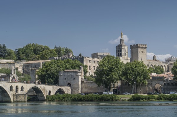 Pont d'Avignon over Rhone river in Avignon, France