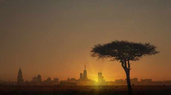 Silhouette of tree in front of city skyline at sunset in Nairobi, Kenya