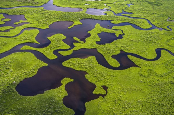 Aerial view of Everglades National Park in Florida, USA