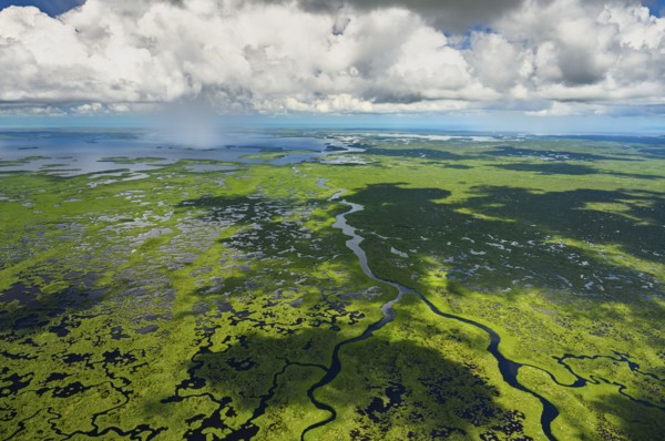 Aerial view of Everglades National Park in Florida, USA
