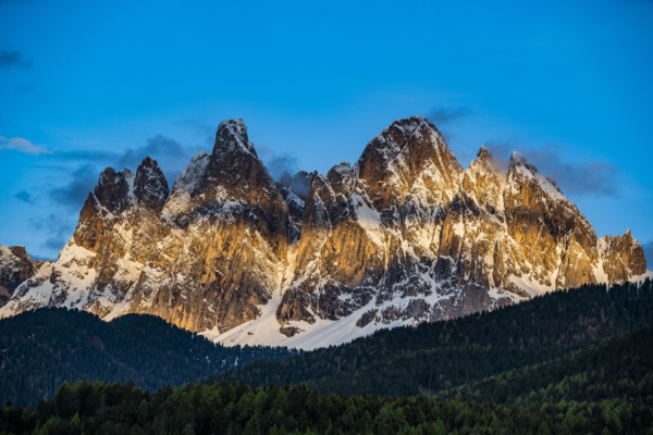 Forest by mountain peaks in Dolomites, Italy