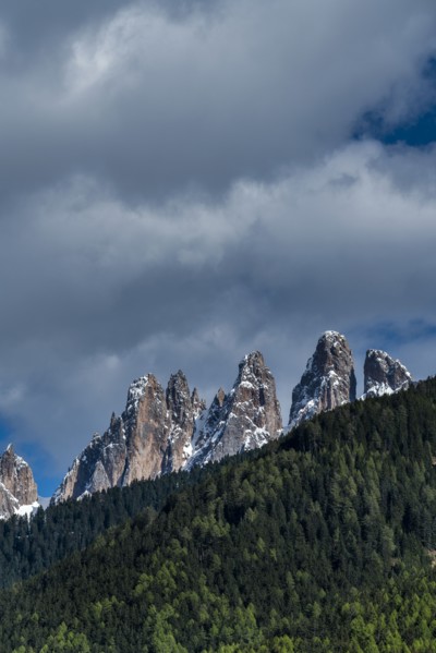 Forest by mountain peaks in Dolomites, Italy