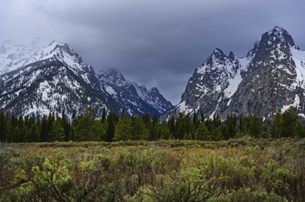 Snowcapped mountains by bush land in Grand Teton National Park