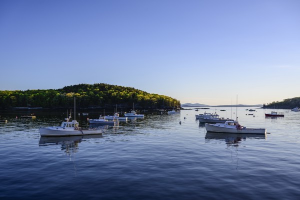 Fishing boats in Bar Harbor