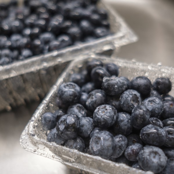 Wet blueberries in sink