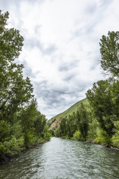 River through forest in Sun Valley