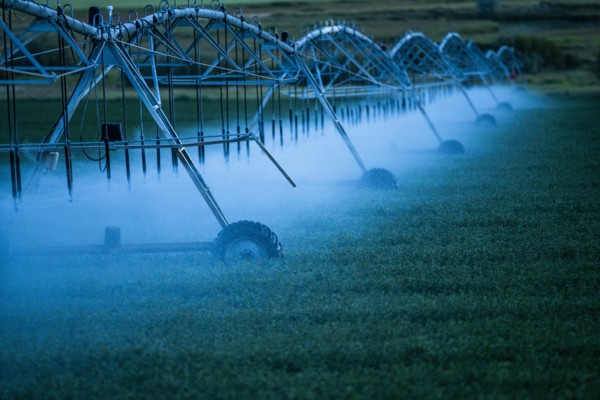 Irrigation system spraying crop field at sunset