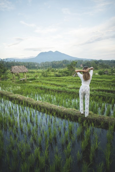 Rear view of woman standing in rice paddy in Bali