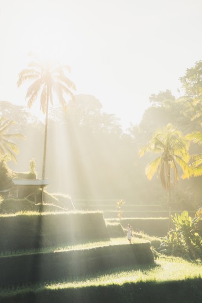 Woman in sunlit terraced rice paddies in Bali