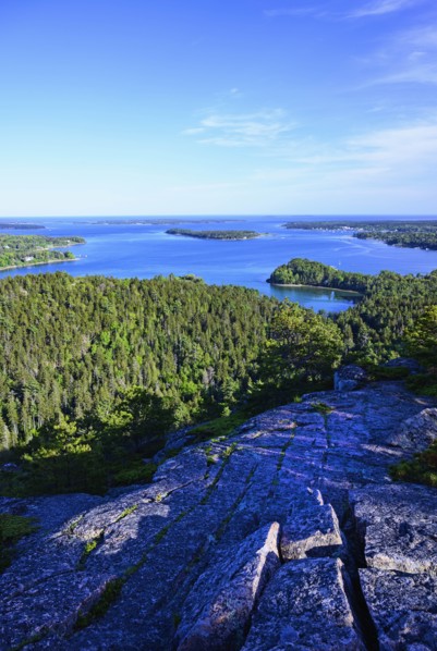 Rocks and forest by sea in Acadia National Park, Maine, USA