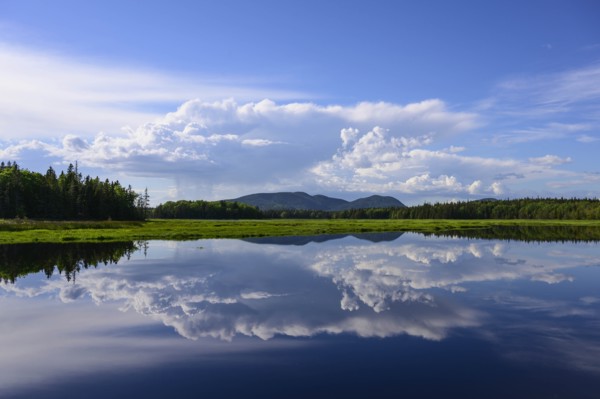 Clouds reflected in Bass Harbor Marsh, Mount Desert Island, USA