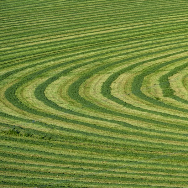 Field cut in curved shape in Picabo, Idaho, USA