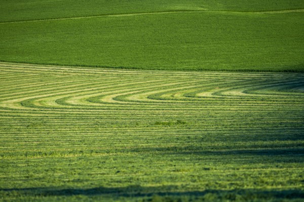Field cut in curved shape in Picabo, Idaho, USA
