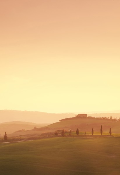 Trees on hills at sunset in Tuscany, Italy