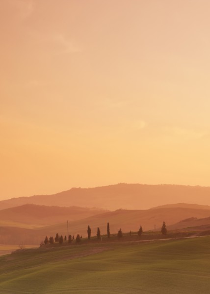 Trees on hills at sunset in Tuscany, Italy