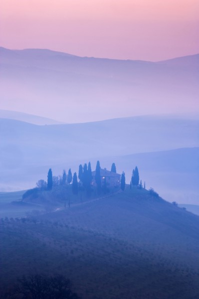 Trees on hills at sunset in Tuscany, Italy