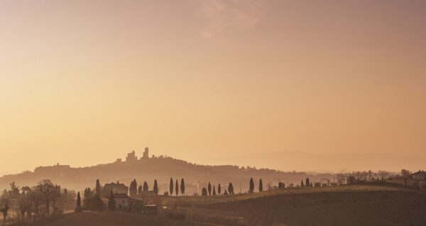 Trees on hills at sunset in Tuscany, Italy