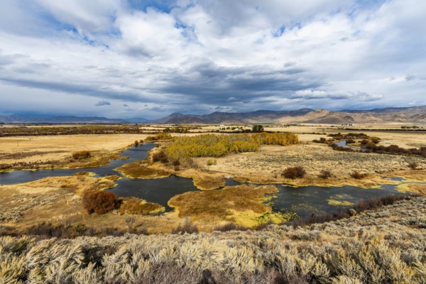 River in marsh